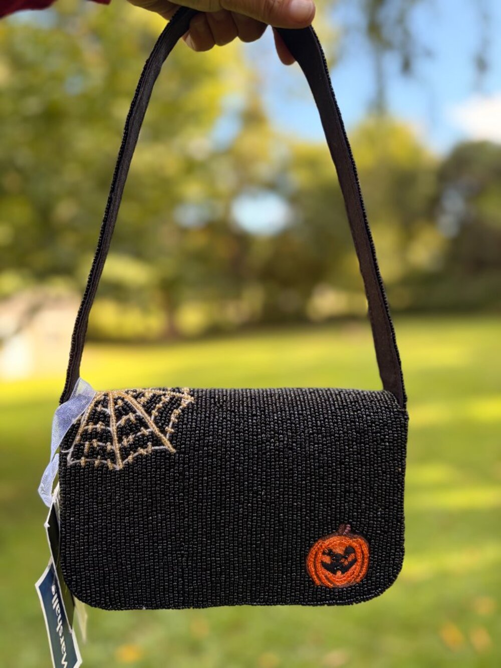 NWT Viral Halloween Beaded Spooky Dogs Bag Spiderweb and Daschunds - Picture 3 of 7